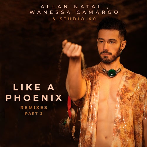 Like A Phoenix (Remixes Part 2)
