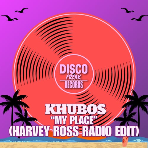 My Place (Harvey Ross Radio Edit)