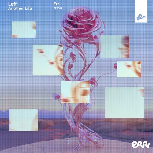 Release of the week