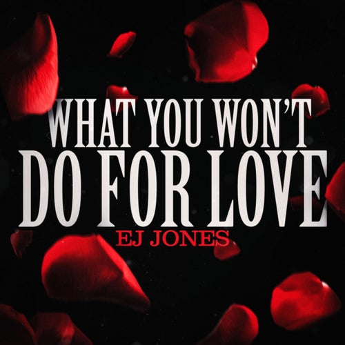 What You Won't Do for Love