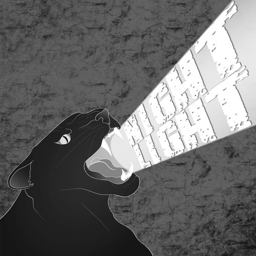 Night Light (The Instrumentals)