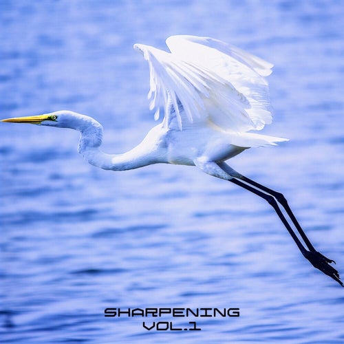 Sharpening, vol. 1