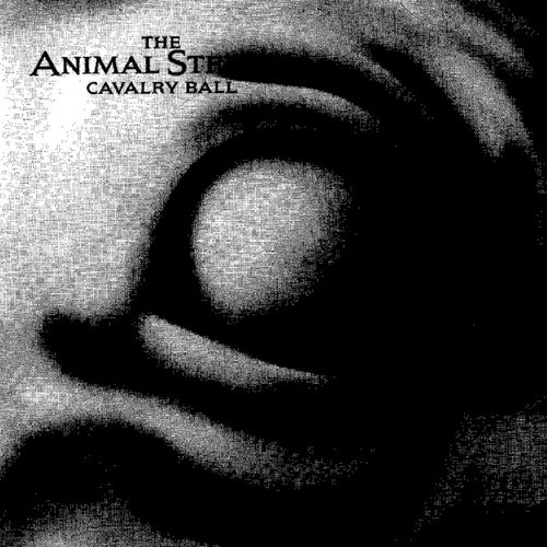 Cavalry Ball