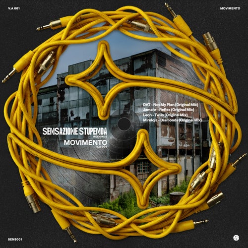 Release of the week
