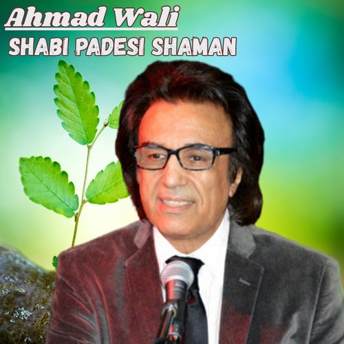 Shabi Padesi Shaman