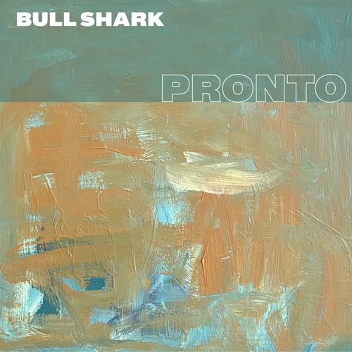Bull Shark