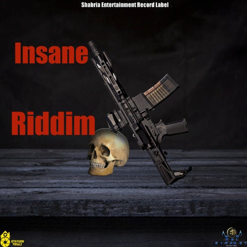 insane riddim