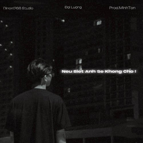 Nếu Biết Anh Sẽ Không Chờ