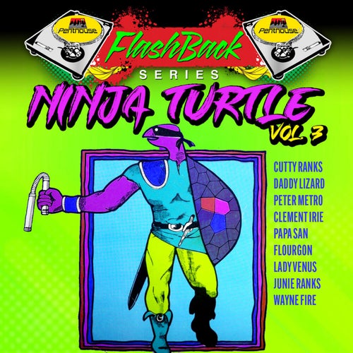 Penthouse Flashback Series: Ninja Turtle, Vol. 3