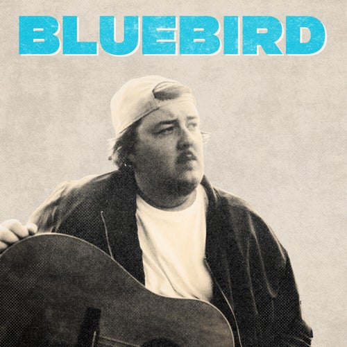 Bluebird