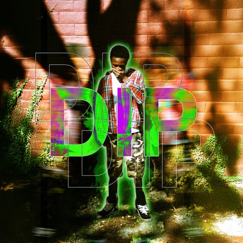 DIP