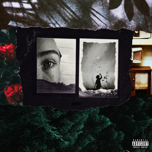 Release of the week