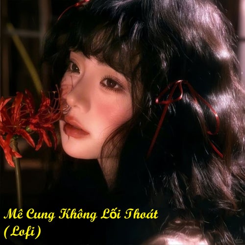 Mê Cung Không Lối Thoát (Lofi)