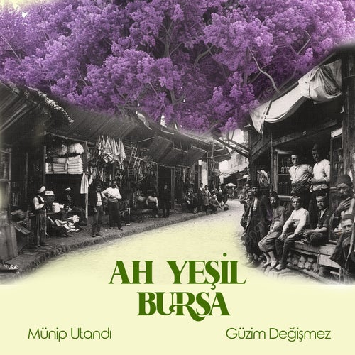 Ah Yesil Bursa