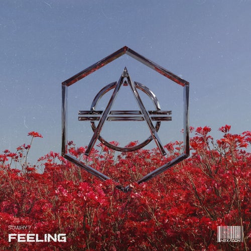 Feeling