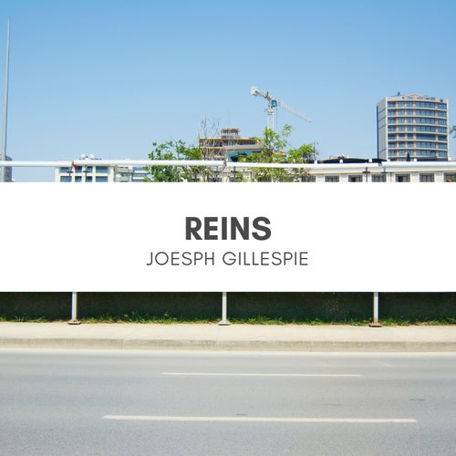 Reins
