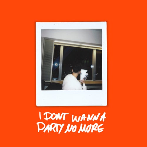 I DON'T WANNA PARTY NO MORE