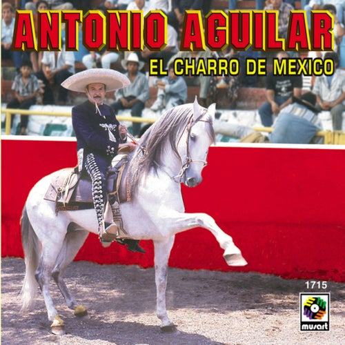 El Bravero