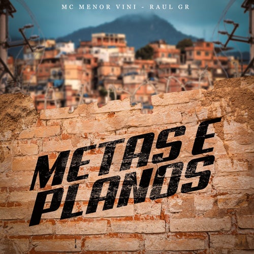 Metas e Planos