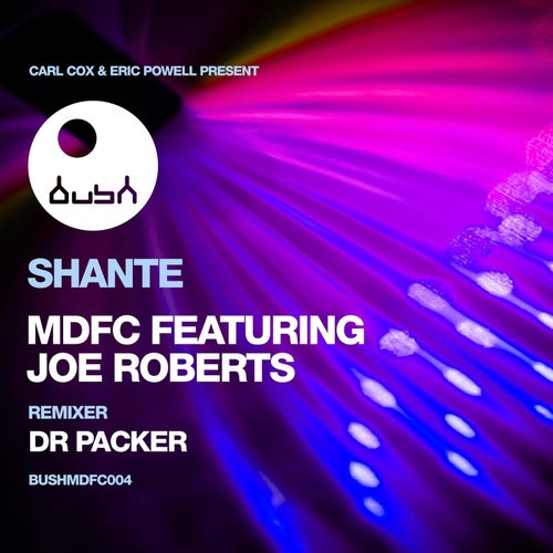 Shante (feat. Joe Roberts)
