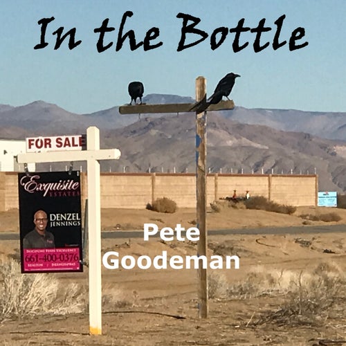 In the Bottle
