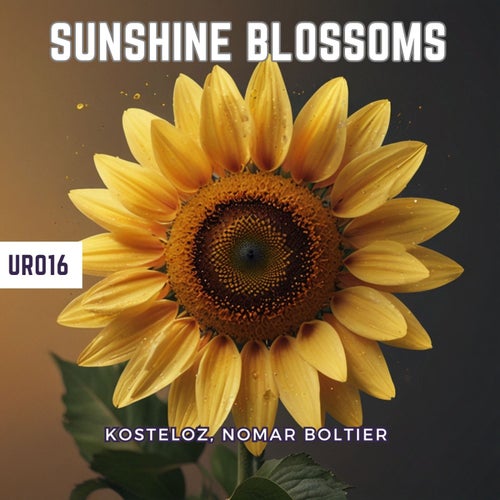 Sunshine Blossoms (Original Mix)