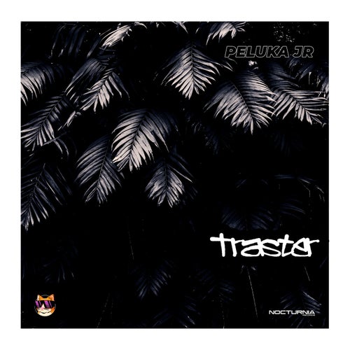 Traster