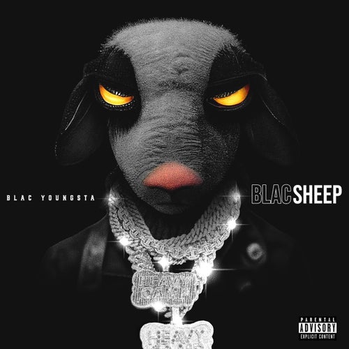 Blac Sheep