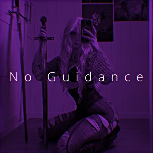 No Guidance (Sped Up)