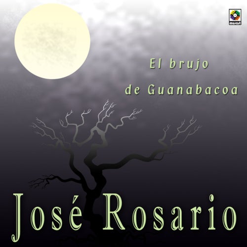 El Brujo de Guanabacoa