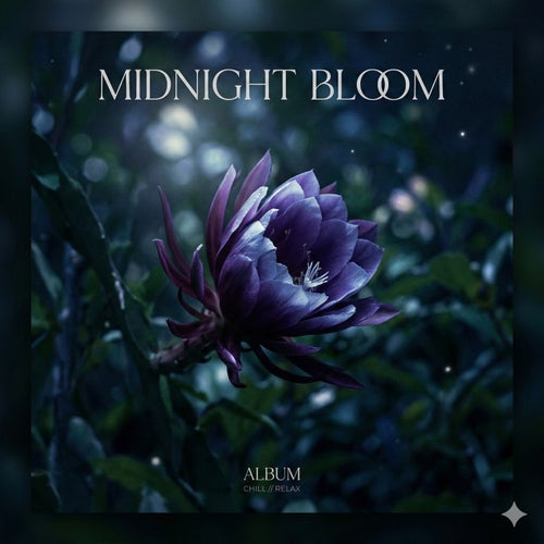 Midnight Bloom