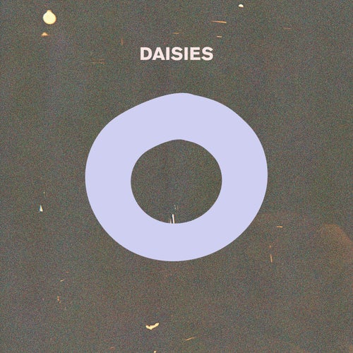 Daisies
