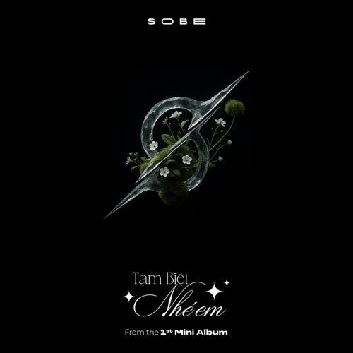 Tạm Biệt Nhé Em