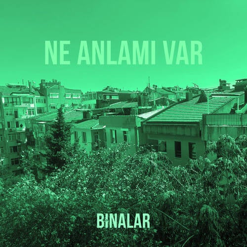 Ne Anlamı Var