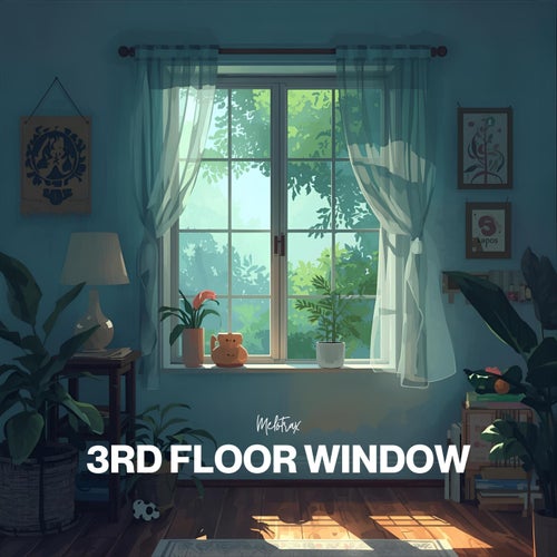 3Rd Floor Window