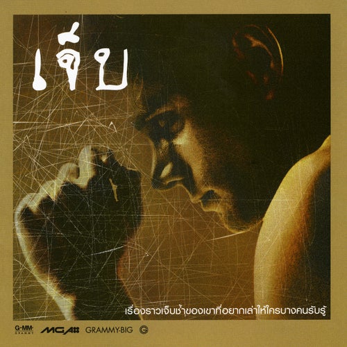 เจ็บ