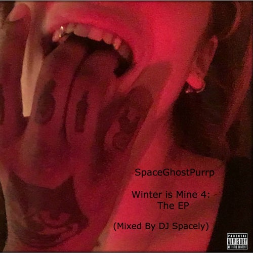 Winter Is Mine, Vol. 4 - EP (DJ Spacely Remix)