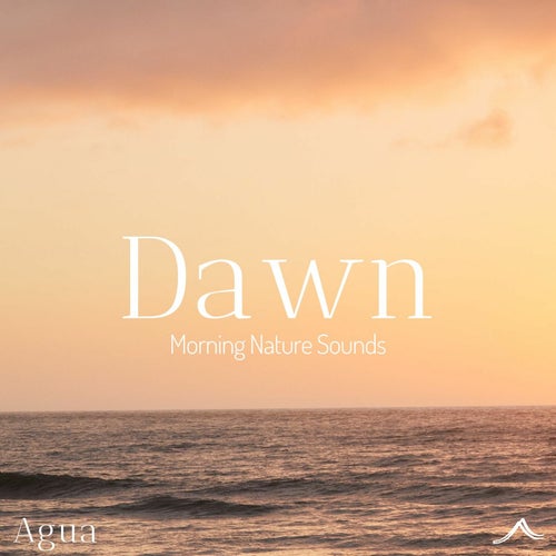 Dawn