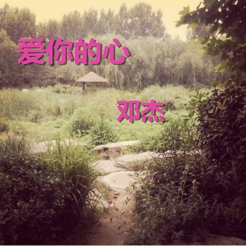 愛你的心