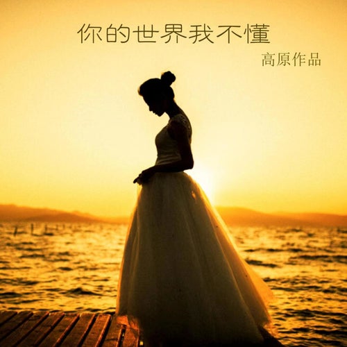你的世界我不懂