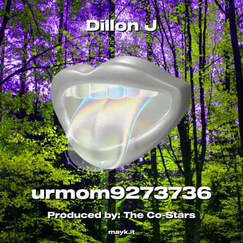 Dillon J