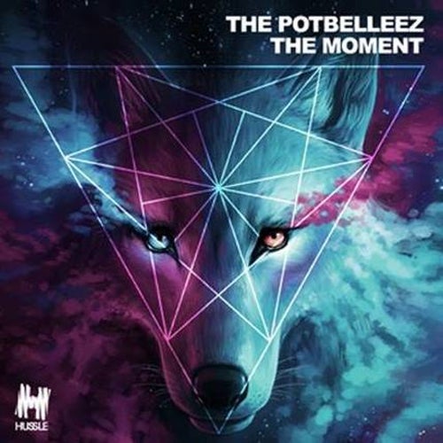 The Potbelleez Profile
