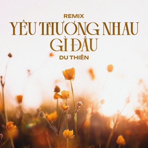 Yêu Thương Nhau Gì Đâu (Remix)