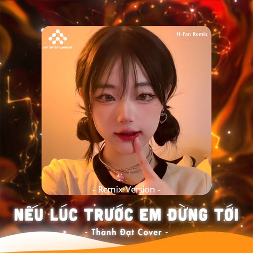Nếu Lúc Trước Em Đừng Tới (Remix)