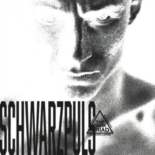 SCHWARZPULS (Versions)