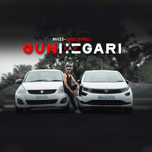 Gunhegaari