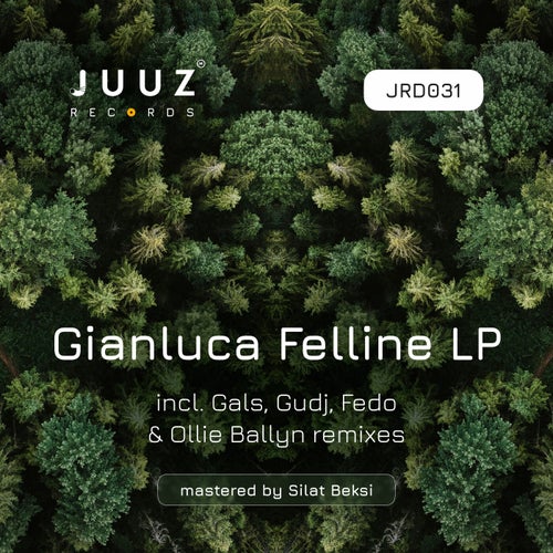 Gianluca Felline and Friends LP