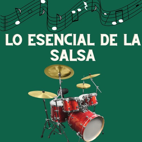 Lo esencial de la salsa