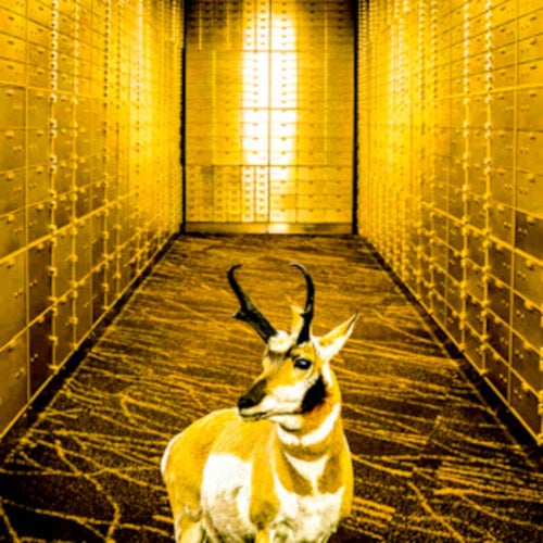 Empty Vault (2025 Remastered Version)