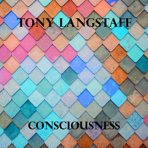 Consciousness